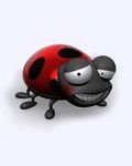 pic for Nice ladybug